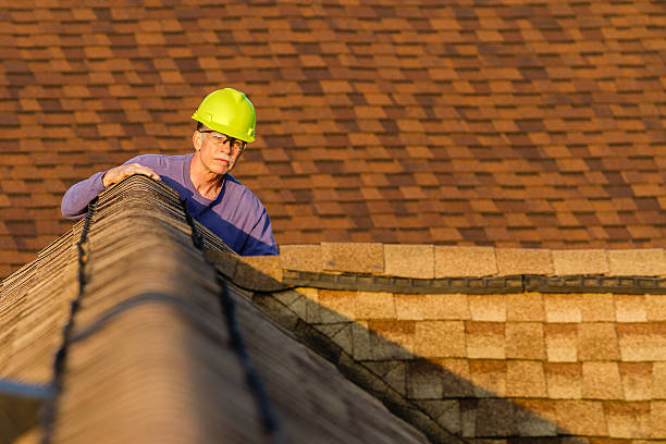 Best Roof Gutter Cleaning  in Upper Ack, NY